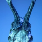 Фанатичная охота за бездепозитными бонусами онлайн-казино