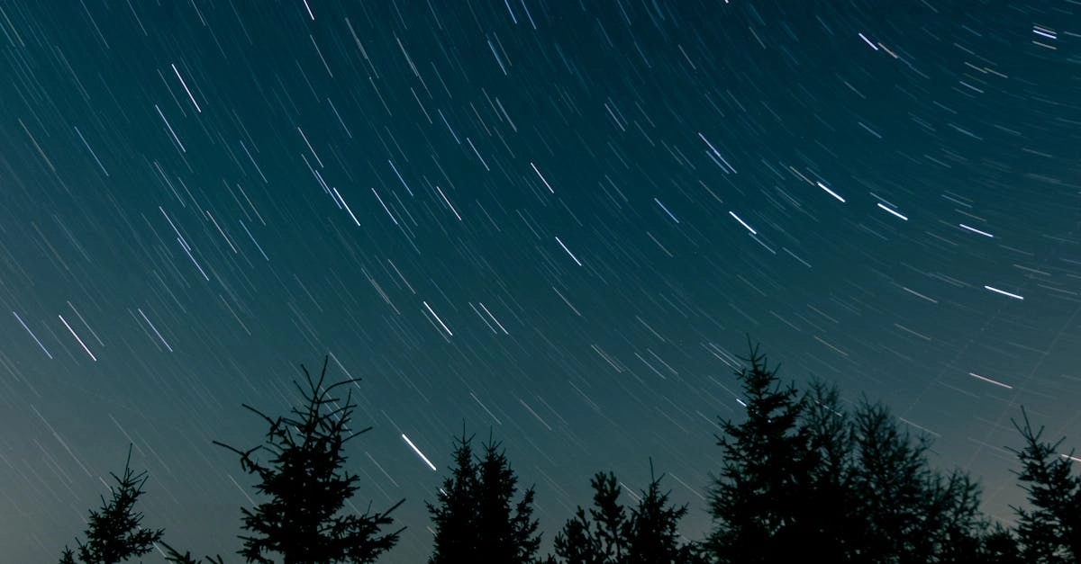 Starlight Princess 1000 фанатичная преданность магическому слоту